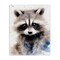 Stupell Industries Woodland Nursery Raccoon Canvas Wall Art Design by Franklyn Gregory